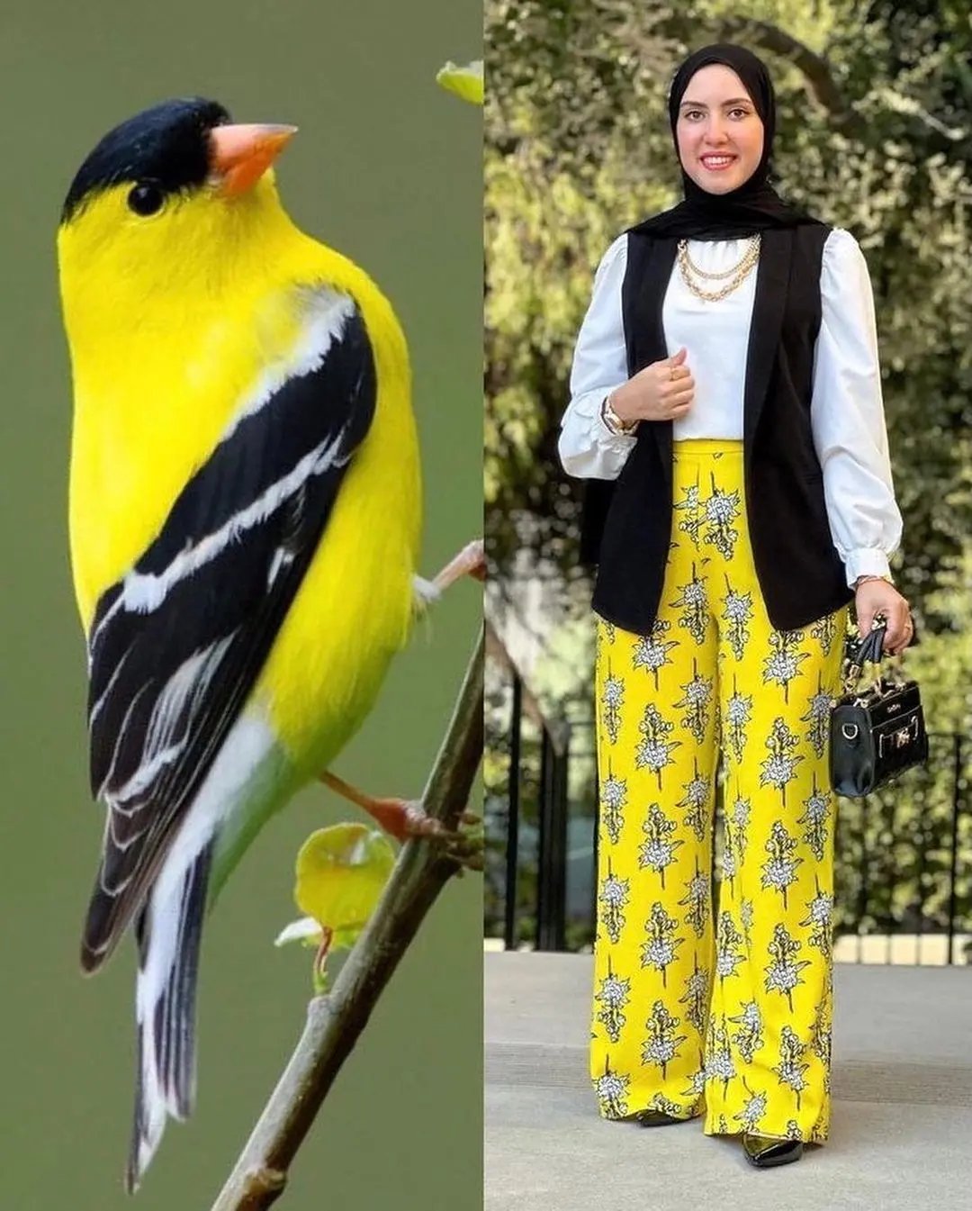 راهنمای کامل ست کردن رنگ لباس‌ها برای استایلی شیک و مینیمال