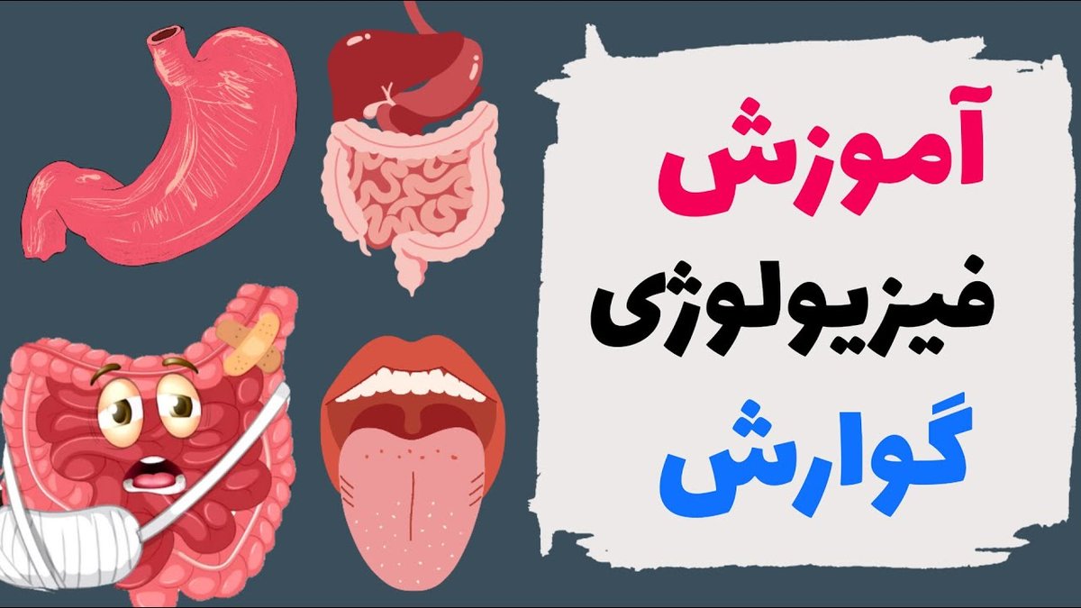 تاثیر شگفت‌انگیز سلامت گوارش بر خلق‌وخو و اعصاب: راز خوشحالی از دل روده!